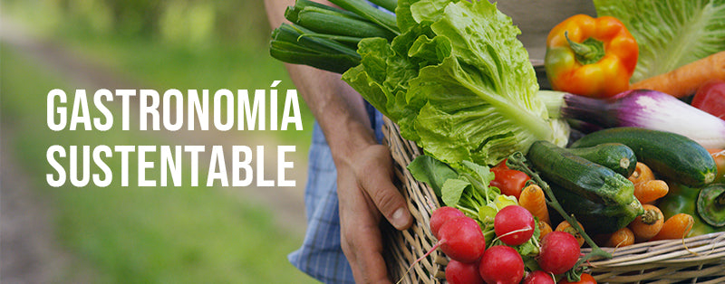 Gastronomía sustentable, ¿qué es?