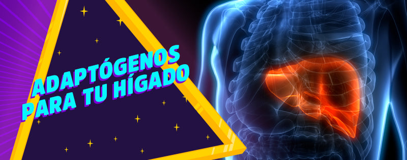 Hongos adaptógenos, aliados para la salud de tu hígado
