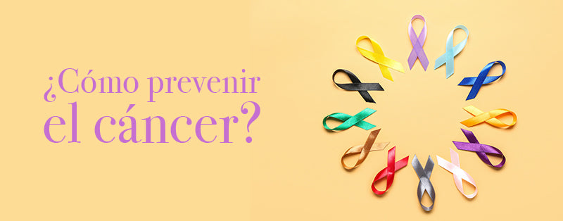 ¿Cómo se relacionan los hongos adaptógenos con el cáncer?