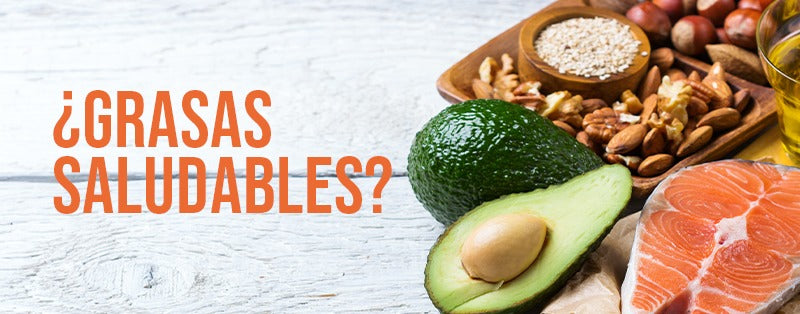 ¡Las grasas buenas y las grasas malas para principiantes!