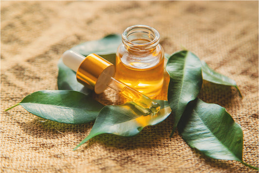 Aceite de árbol de té para el cutis.