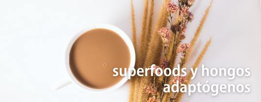 Descubriendo el poder de los superfoods y hongos adaptógenos