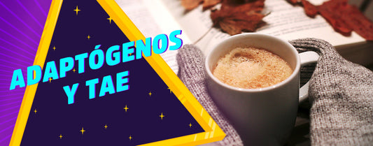 ¿Cómo los hongos adaptógenos pueden ayudar a prevenir el Trastorno Afectivo Estacional?