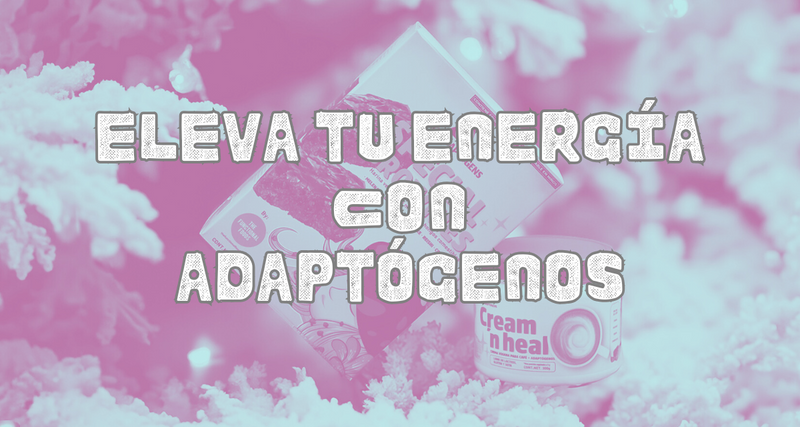 Reconecta con tu energía en diciembre: Beneficios de los hongos adaptógenos