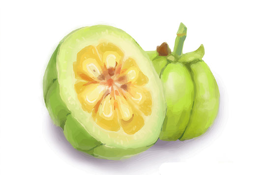 garcinia cambogia